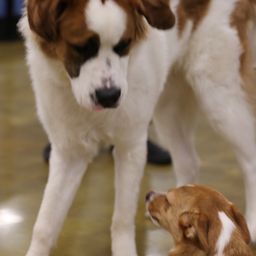 photograph by PeterW